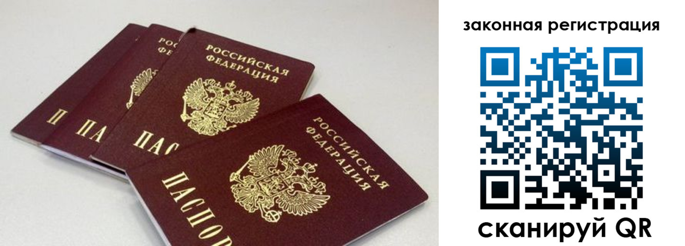 временная регистрация в Полярных Зорях